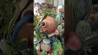 DIY Water Fountain ⛲⛲🪻