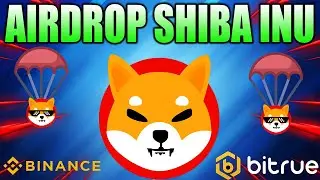 Раздача 10 Миллиардов Shiba Inu От Bitrue - AIRDROP SHIB До Конца Августа