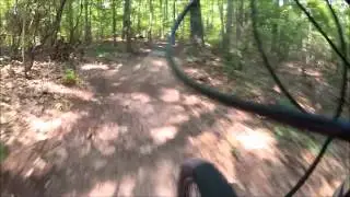 Millers Pond Mountain Biking with Trees