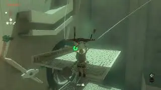 Zelda ToTK - Stakes Guide You shrine