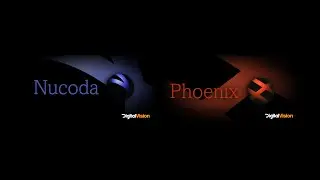 Nucoda and Phoenix GUI -  Timeline Overview