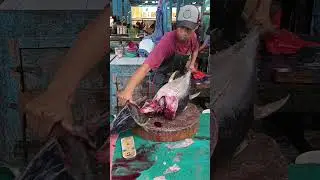 Perfect Tuna Cutting Techniques #fish #fishcutting #fishmarket #lokalmarket #fishing