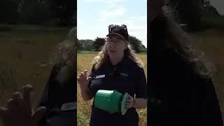 How do you trap pea moth?  #farming #pulses #agriculture
