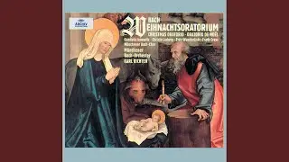 J.S. Bach: Weihnachts-Oratorium, BWV 248, Pt. 3: No. 29, Duet. Herr, dein Mitleid, dein Erbarmen