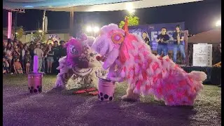 AsiaFest 2025 - 5 Elements Lion Dance Bubble Tea Routine