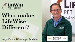 What Makes LifeWise Pet Food Different?
