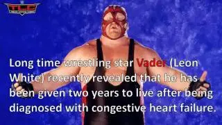 Fan Bella - WWE NEWS: McGregor To WWE - Kurt Angle Return - Vader HOF - Maryse Unhappy - Raw Ratings