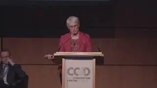 Year In Review - Launch of SAI Competency Framework (without slides)