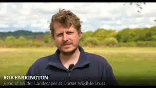 Water for Wildlife campaign
