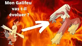 Je vous pr&eacute;sente mes pok&eacute;mon et j'essaie de faire &eacute;voluer Galifeu