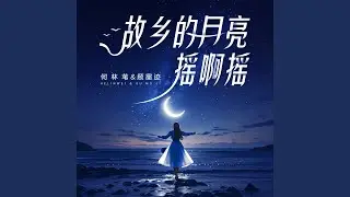 故乡的月亮摇啊摇 (DJ九零版伴奏)