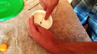 Como fazer um Alimentador Automático para peixes. Automatic feeder