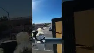 #trafficsignals fail