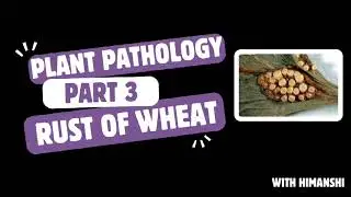 Plant pathology | Part 3 | Diseases | Rust of Wheat🌾 | Puccinia graminis tritici | 