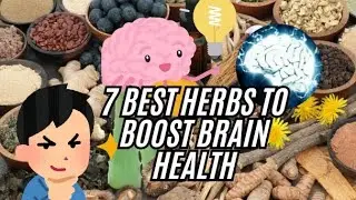 7 Herbs to boost Your Brain Health