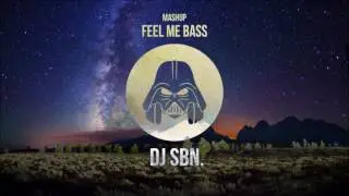 DJ Shog vs Seaven vs Cortez & Acid Luke - Feel Me Bass (DJ SBN Mashup)