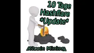 10 Tage Hashflare Update