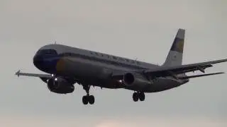Lufthansa Airbus A321 D-AIDV retro Landing Hamburg Airport