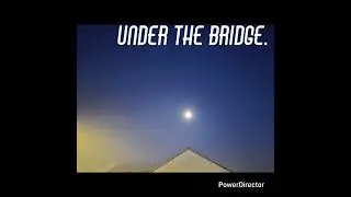 .Under the bridge.  