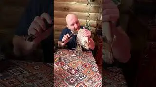 Икру не ест. Либо зажрался, либо просто на сухую не хочет. Самарский волжский лещ