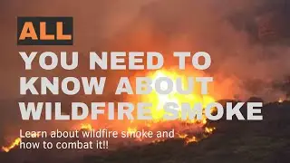 Clear the Air: The Top Air Purifier Picks for Wildfire Smoke Defense!