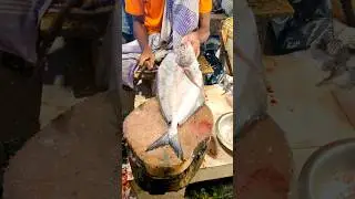 Sharp Knife, Faster Hands! black pomfret Fish Cutting in Bangladesh