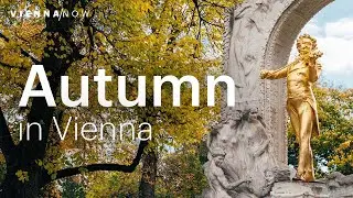 5 Reasons to Visit Vienna in Autumn
