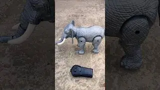 Best RC Elephant 🐘 testing #RCelephant #toys #therctoy2m #trending #testing #viralvideo #shorts #car