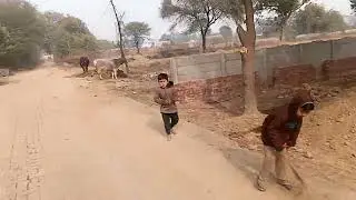 Braj Darshan 🙏 Govardhan Jatipura