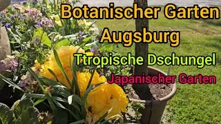 🎥 Сад, где оживает сказка! 🌸 Ботанический рай в сердце Аугсбурга/ botanischer Garten Augsburg