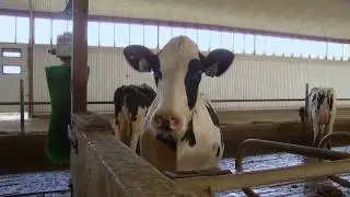 Markerville Creamery