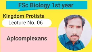APICOMPLEXANS|ANIMALS LIKE PROTISTS|PROTOZOAN #malaria #plasmodium #mosquito #kingdomprotista