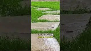 Why Do We Love the Smell of Rain? 🌧️ (Petrichor Explained)
