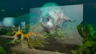 Ausstellungsfilm 