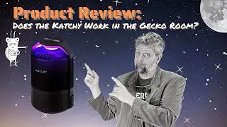 Product Review: Does the Katchy work in the gecko room?