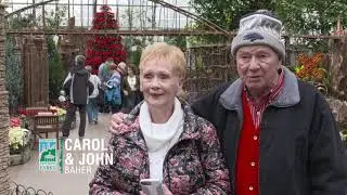 Wade Walks: Holiday Spirit in Cincinnati Parks