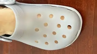 Crocs Unisex-Adult Classic Frosted Clog - purple moon open box review May 2025
