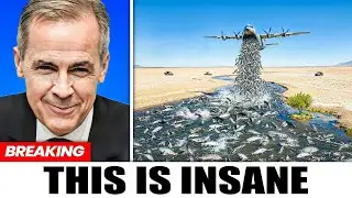 Canada Released 8,000 Salmon Into Dead River &mdash; Nobody Expected What Happened After..