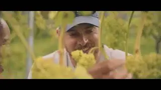 Whinyard Rocks: Our Vineyard Story | Susan & James