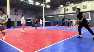 TDVC Womens W11: FDPU vs Back and Body Hurts S2