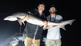 Giant New Personal Best Soupfin Shark-San Diego Bay Fishing