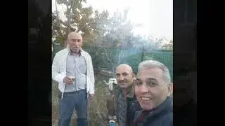 MEHMET TEMUR