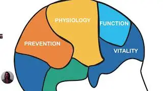 9 WAYS TO BOUNCE BACK TO BETTER BRAIN HEALTH | TOTAL BRAIN HEALTH