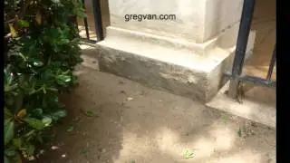 Dirt On Stucco Is Easy to Spot but Bad for Building