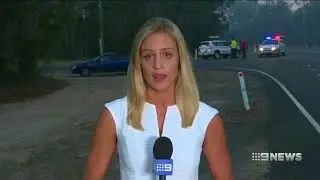 9 News North QLD - Mega Montage (11 Sept 2017)
