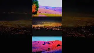 Mission Peak Loop from Stanford Avenue Staging Area/ Mission Peak regional Park/ Full Moon Hike