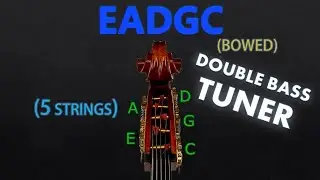 5 String Double Bass - EADGc Tuning (BOWED) (Tuner)