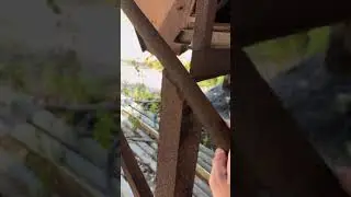 Exploring The Russel Vale Coal Mine