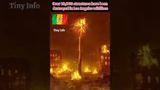 Los Angeles Wildfire #tinyinfo  #losangelesnews #losangeles #wildfire #usa #californiadisasters