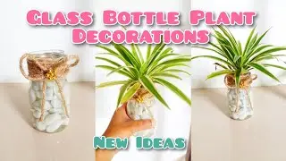 Glass bottle plant ideas | indoor Water Plant | Bottle craft Decorations  | New ideas | houseplants